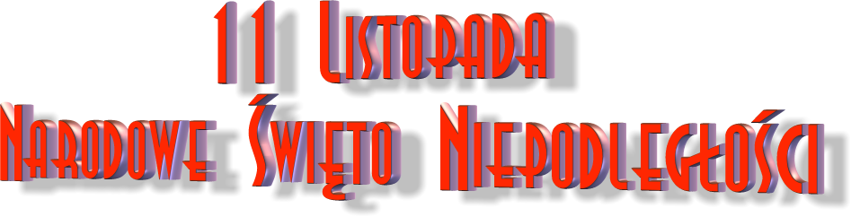 nsn1