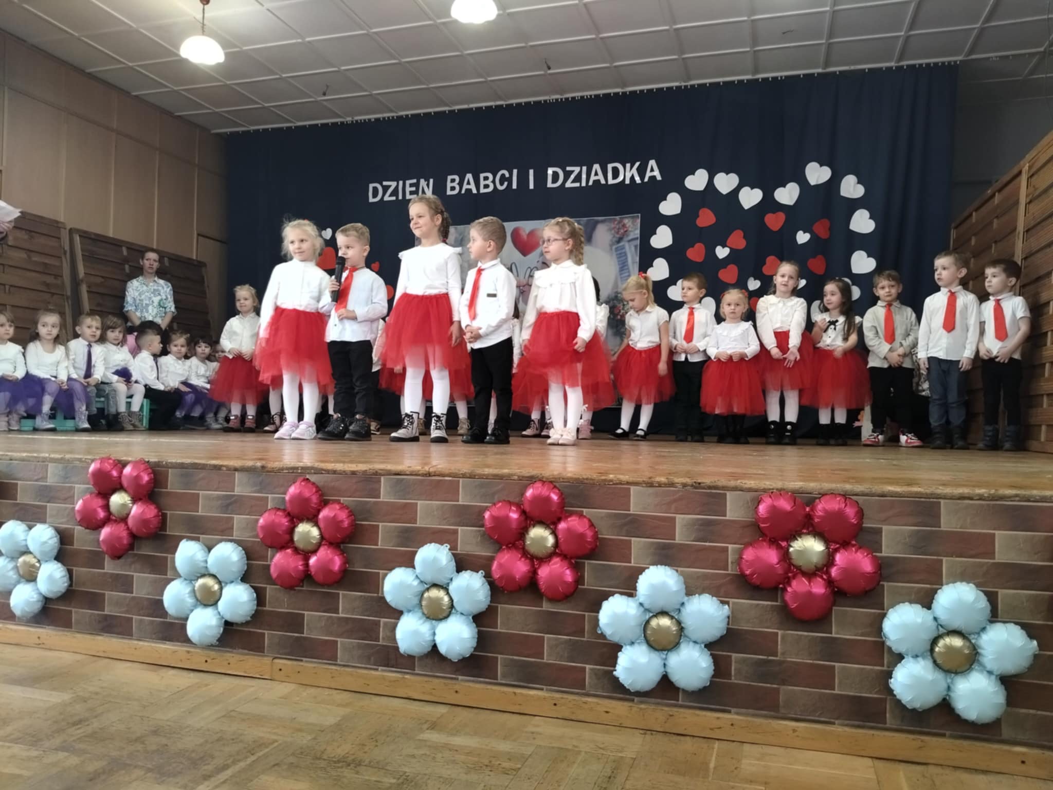 bdz 6