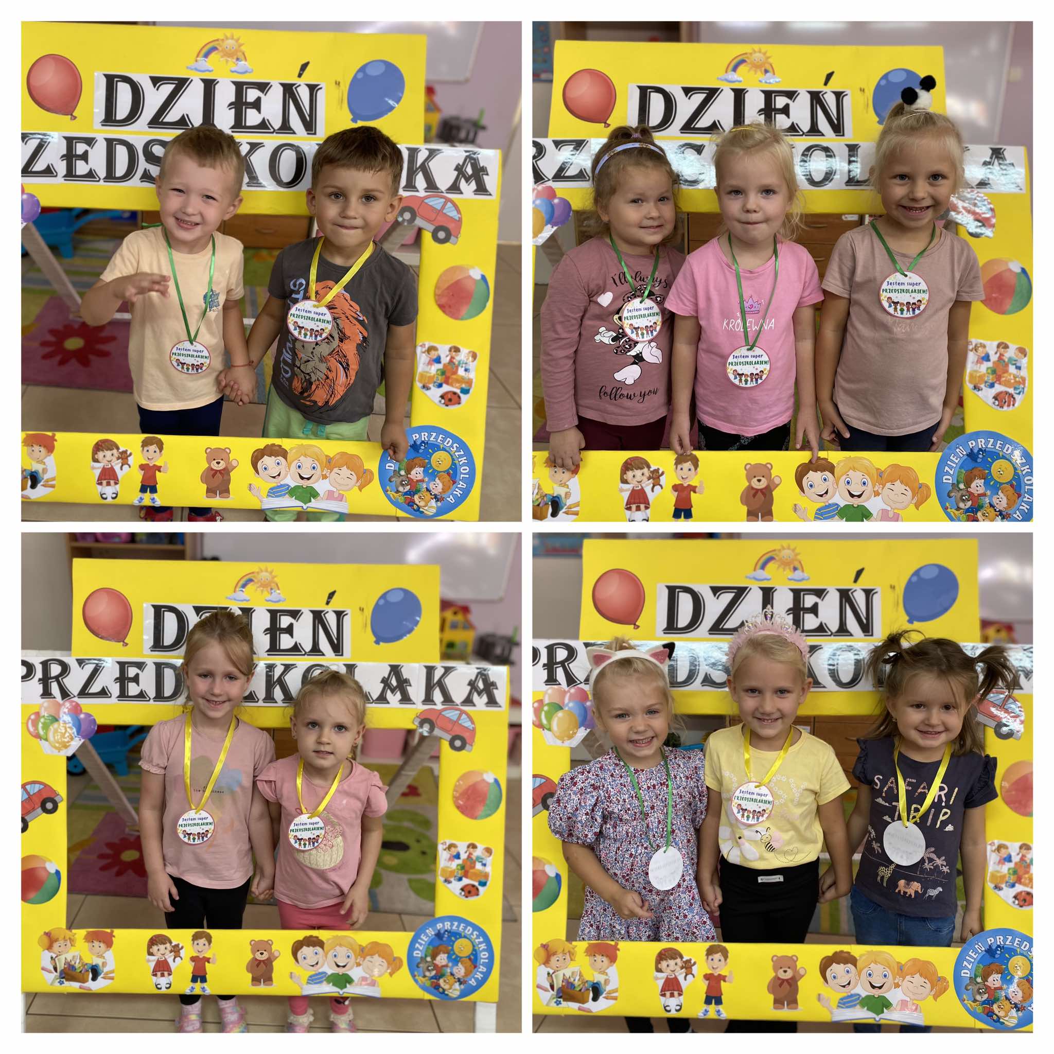 dzprzed 6