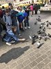 IMG_2801