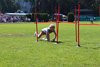 IMG_0437