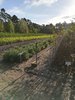 IMG_20181004_092115