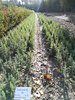 IMG_20181004_092034