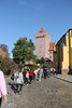 IMG_5309